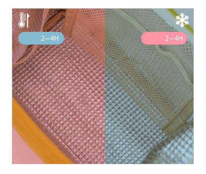 Candy Color Insulation Cooler Bag Thermal Bento Box Thẻ mang theo với in tùy chỉnh 1